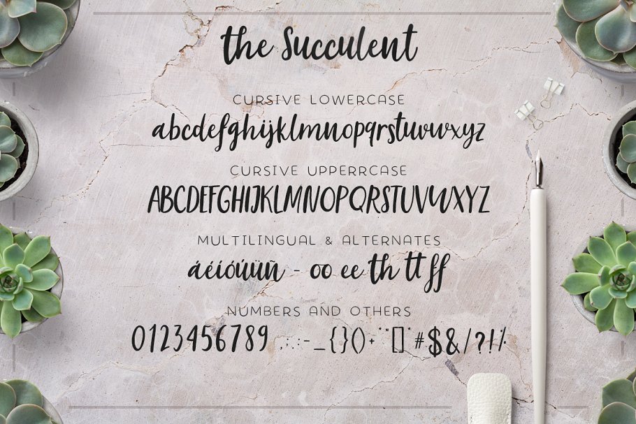 The succulent – font trio插图1