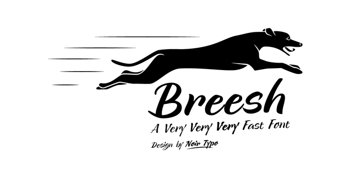 Breesh Font Family – 3 Fonts素材之家精选英文字体