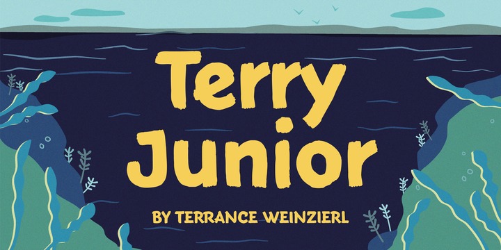 Terry Junior Font Family素材之家精选英文字体