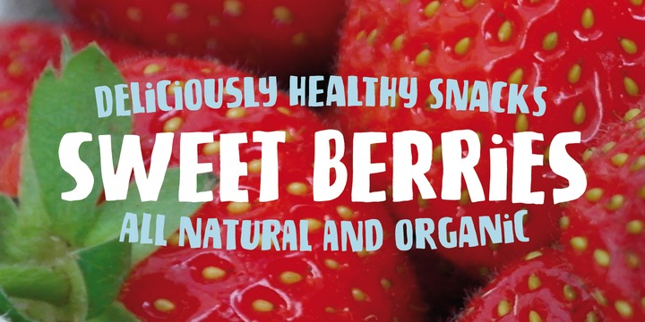 Biscuit Chicken Font Family插图