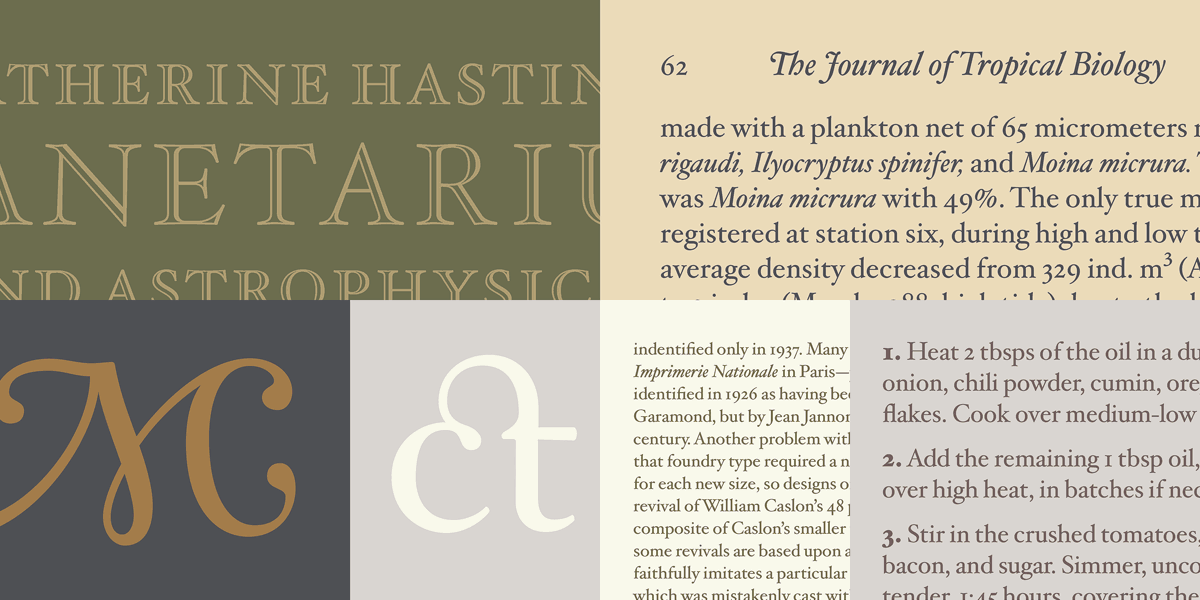 Hoefler Text Pro 2018 Font Family素材之家精选英文字体