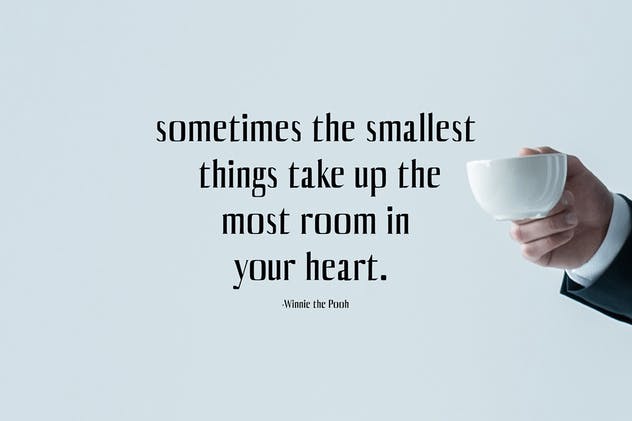 平面设计排版英文衬线字体套装 Axell Serif Font Family插图(4)