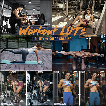 锻炼 - 运动 LUT 捆绑包