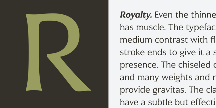 Civane Font Family插图2