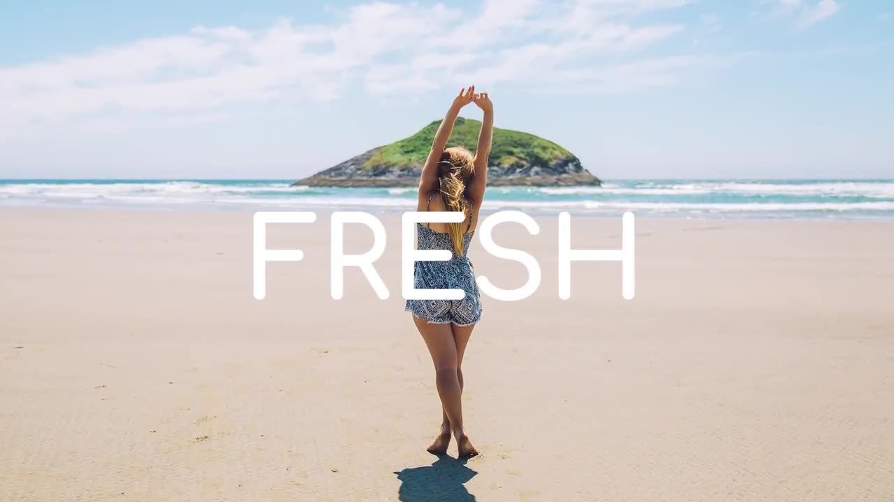 快速动态动画素材库精选PR模板