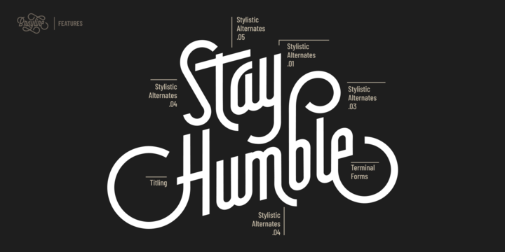 Brayline Font插图1