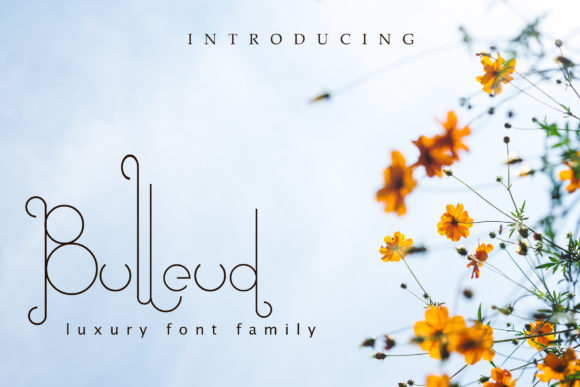 Bulleud Font素材之家精选英文字体