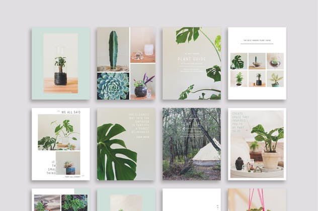 现代简洁风格多用途社交媒体贴图模板素材库精选 NATURALIS Social Media BUNDLE插图(7)