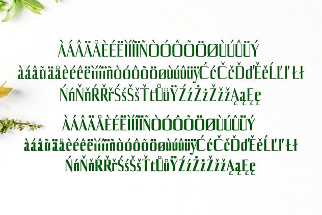 平面设计排版英文衬线字体套装 Axell Serif Font Family插图(3)