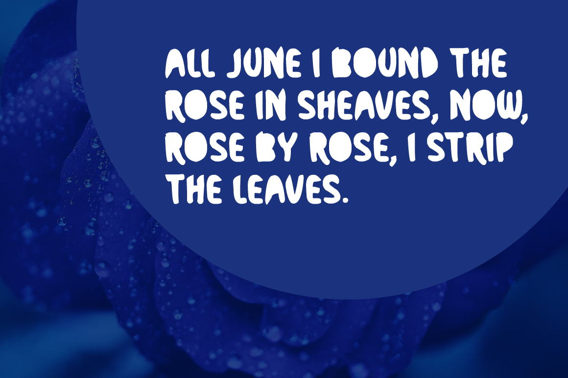 Rockrose Adjacent Regular Font插图1