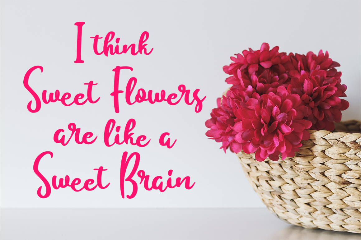 Fontbundles – Besillia插图2