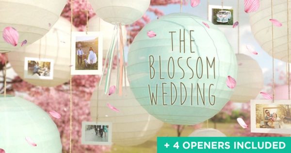 浪漫婚礼幻灯片视频素材素材库精选AE模板 Wedding Slideshow