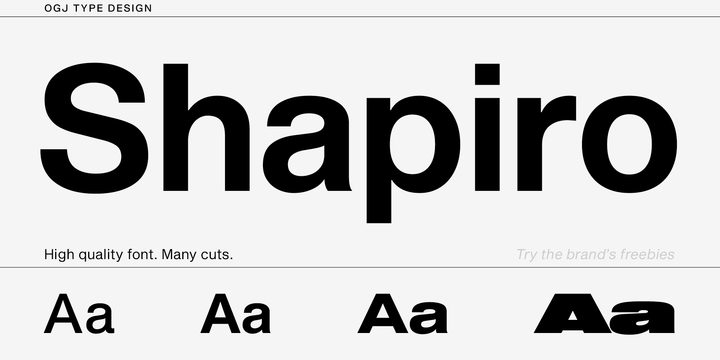 Shapiro Font Family插图1