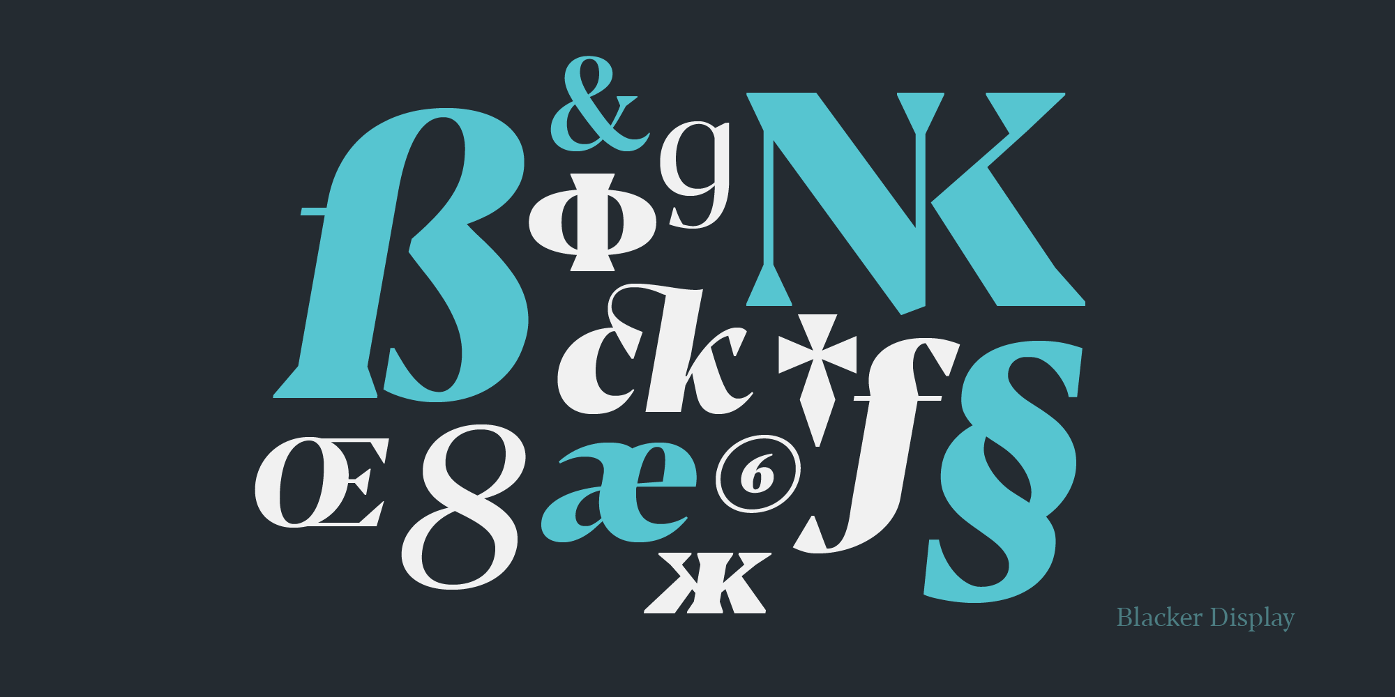 Blacker Font Family插图5