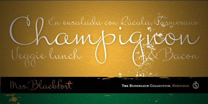 Mrs Blackfort Pro Font插图2