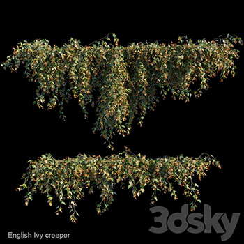 英国常春藤爬山虎素材之家精选3D模型