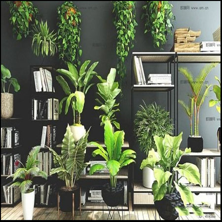 室内绿色植物摆件素材之家精选3D模型