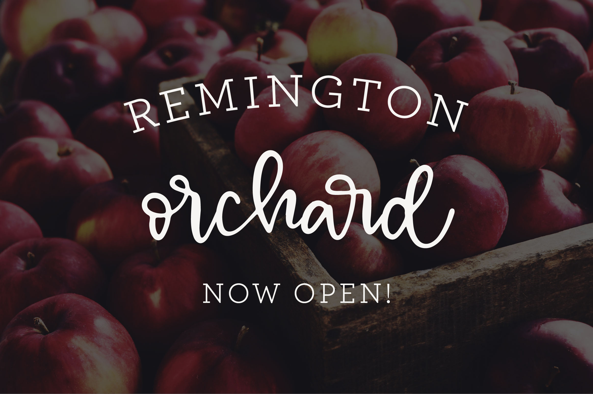 Alley Font Duo插图3