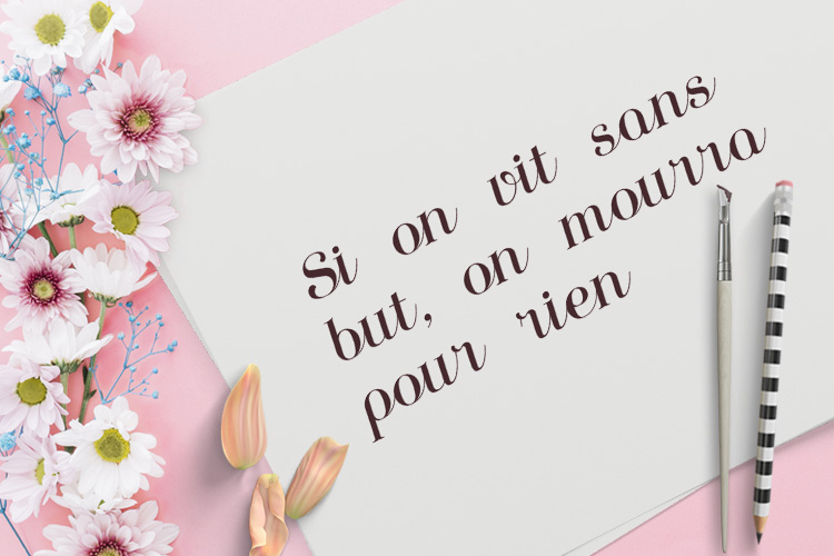 Fontbundles – Animation插图2