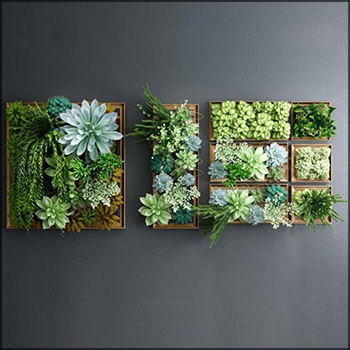 多肉植物墙素材之家精选3D模型