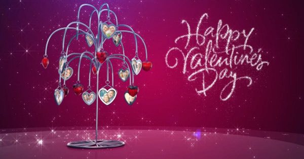 爱情之树动态视频相册素材库精选AE模板 Tree of Love