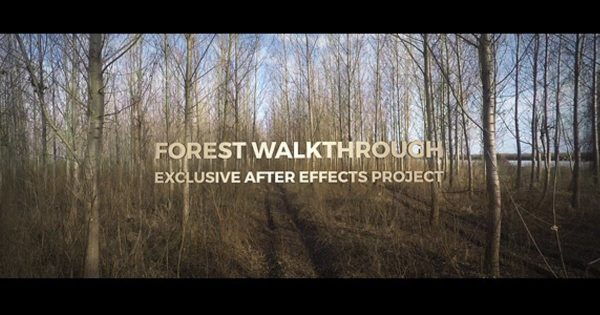 漫步森林第一人称视觉3D效果素材库精选AE模板 Forest Walkthrough
