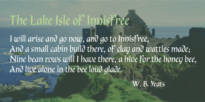 Dublin Typeface插图1