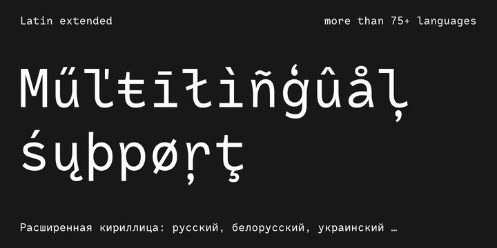 RF Rostin Font Family插图4