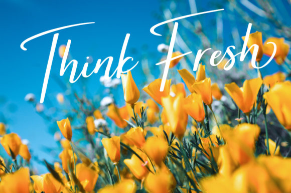 Brightish Font插图1