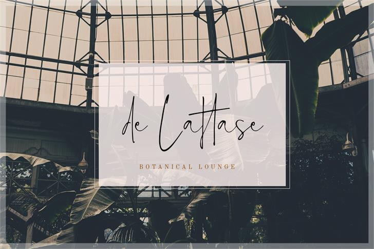 Estelly font插图1 Estelly font插图1