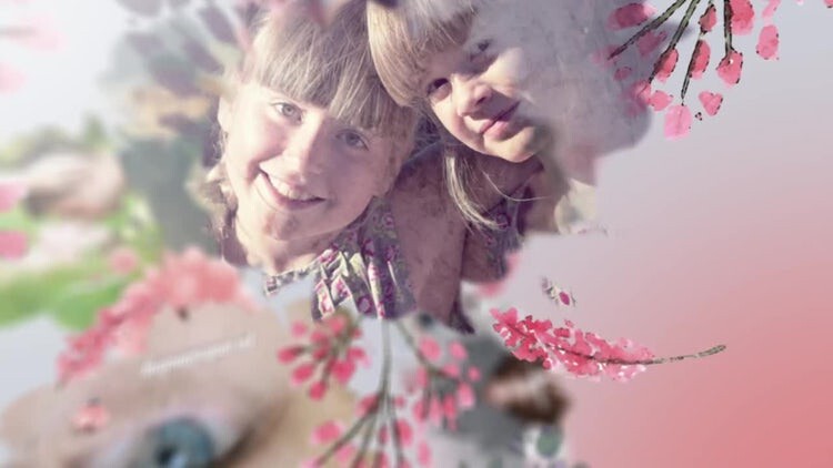 优雅精美的花卉照片幻灯片素材库精选AE模板