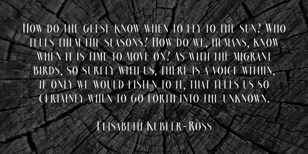 Marbre Sans Font Family插图3