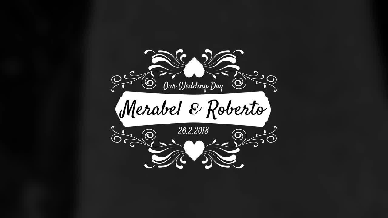 优雅精美的婚礼标题文字特效展示素材库精选AE模板