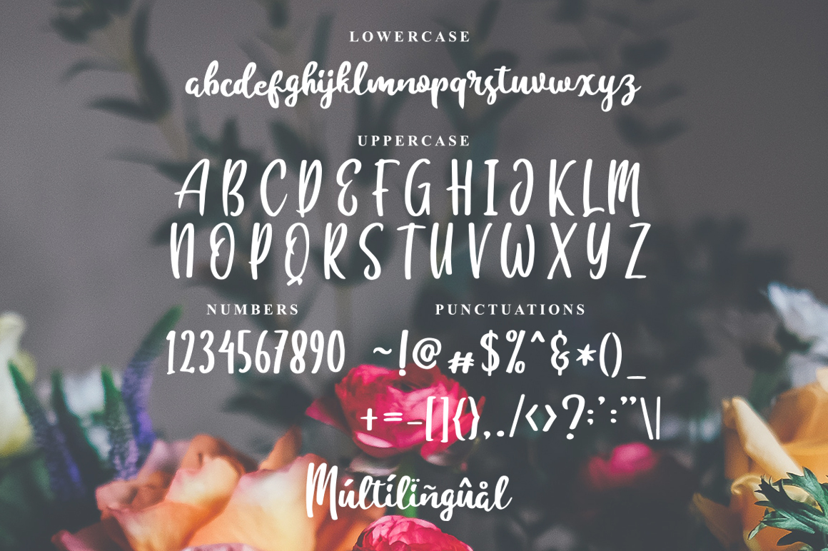 Fontbundles – Besillia插图1