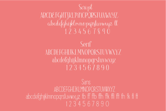 Lola Trio Font插图1