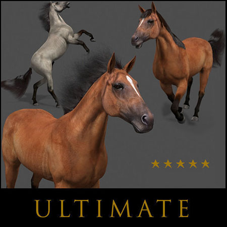 奔跑的骏马素材之家精选3D模型