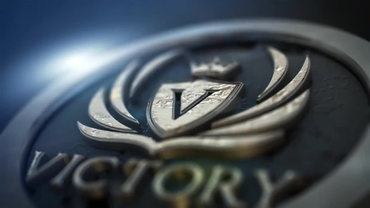 专业设计的平滑的徽标动态展示素材库精选AE模板