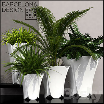 白色花盆和绿色花卉植物素材之家精选3D模型