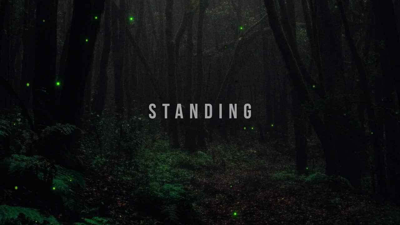 5个萤火虫粒子有机动画素材库精选AE模板