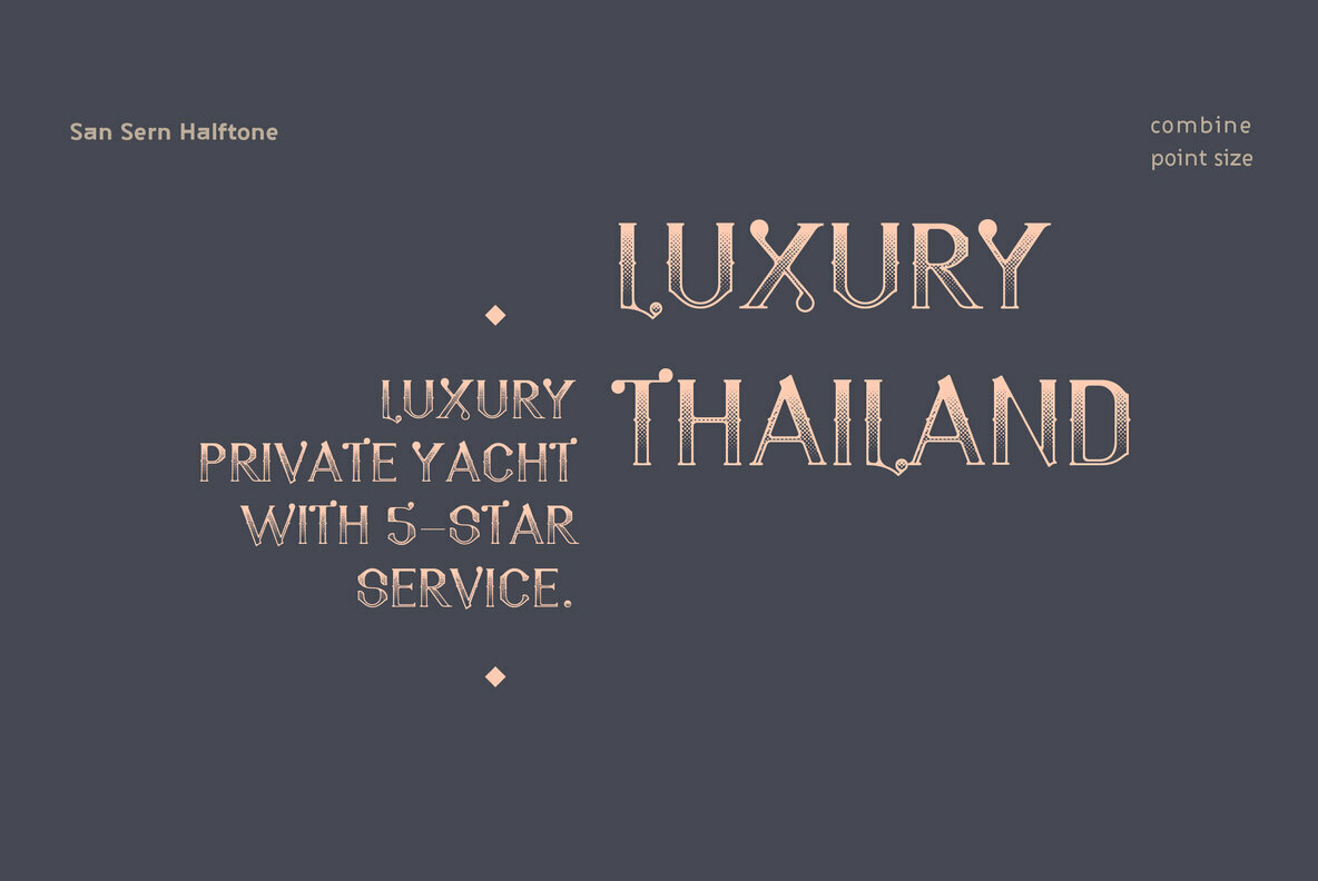 SanSern Font Family插图2