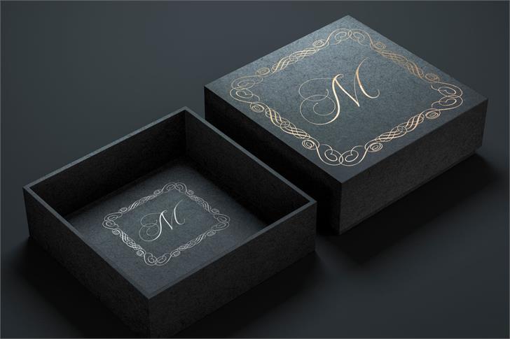 Square Frames font插图5