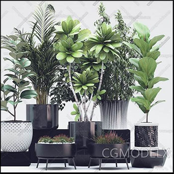 绿色植物绿色盆景素材之家精选3D模型