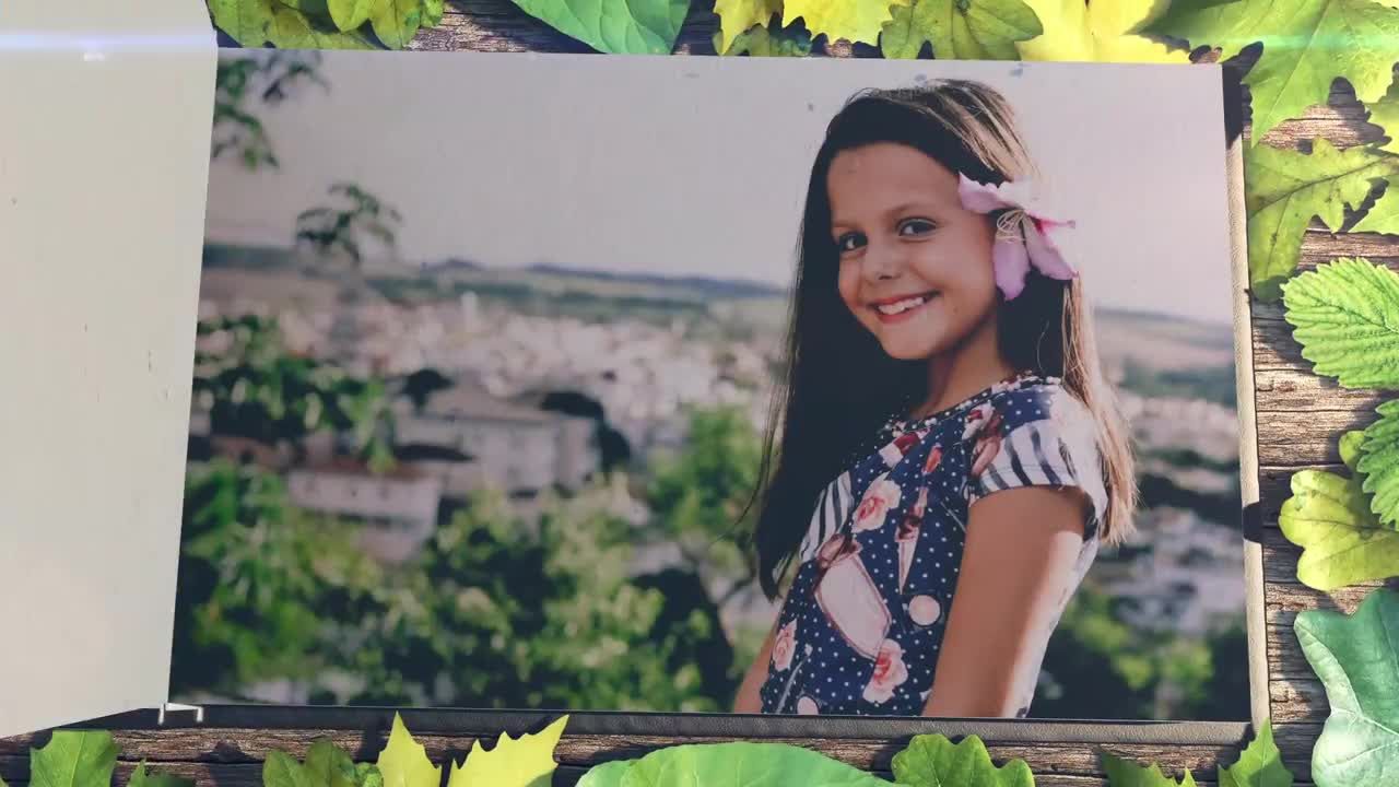 书本相册翻页特效素材库精选AE模板