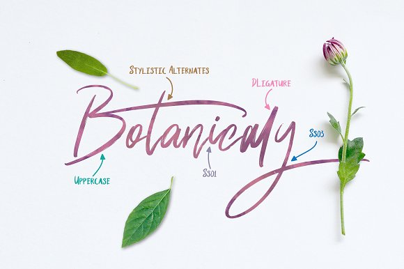 Shutten Reason – Duo Handwritting Font插图3