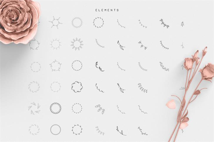 Desislava Ornament font插图8