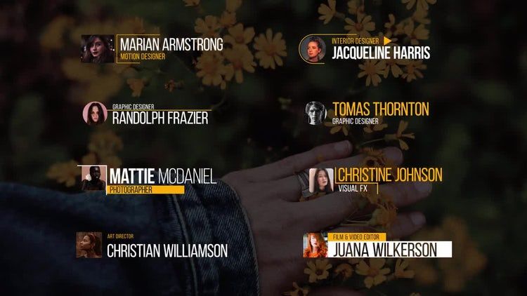 外观独特的下三分之一ae模板