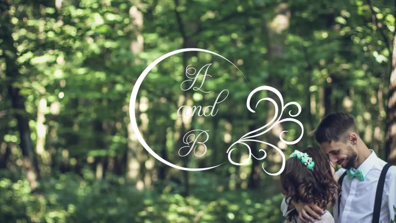 5个婚礼标题素材库推荐PR模板