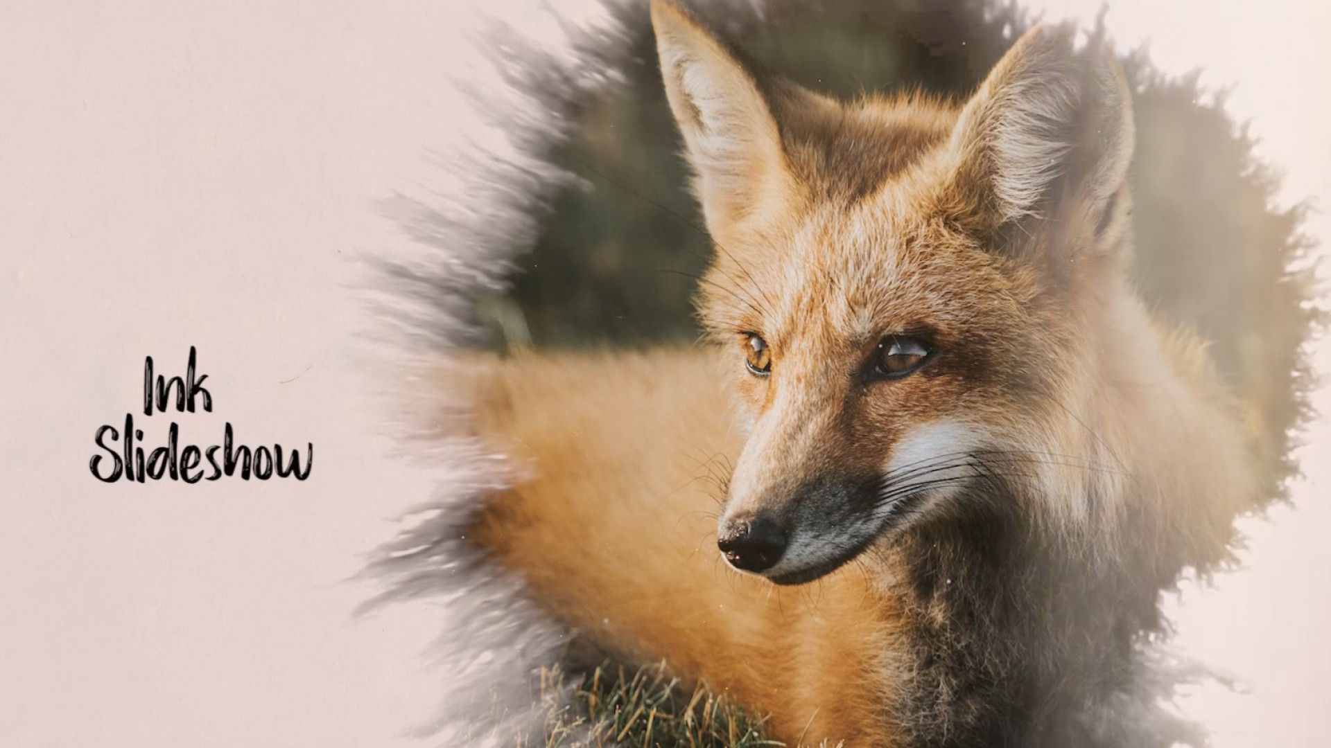 水墨晕染遮罩图片开场素材库推荐PR模板