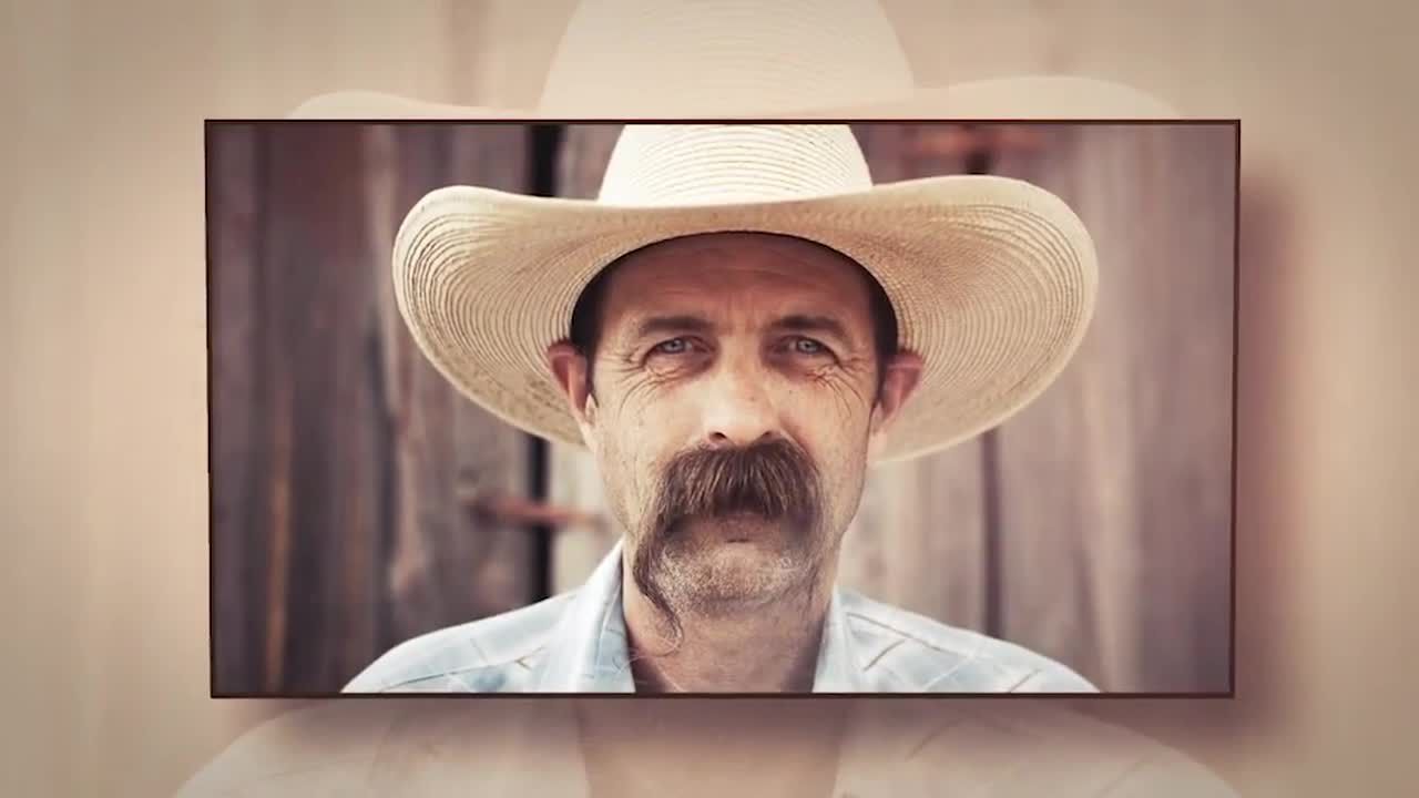 整洁的快速照片简介素材库精选AE模板