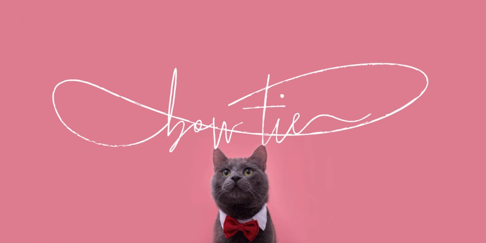 Bow Tie Font Family素材之家精选英文字体